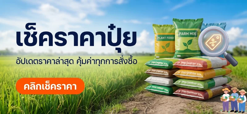 เช็คราคาปุ๋ย อัปเดตราคาล่าสุด ปุ๋ยคุณภาพสูง ราคาคุ้มค่า ไล้พานิช พิษณุโลก