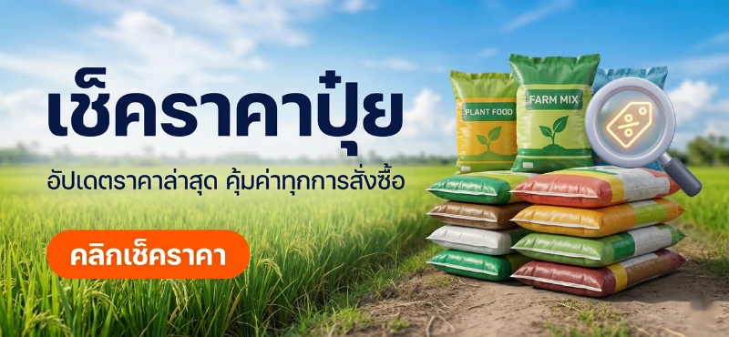 เช็คราคาปุ๋ย อัปเดตราคาล่าสุด ปุ๋ยคุณภาพสูง ราคาคุ้มค่า ไล้พานิช พิษณุโลก