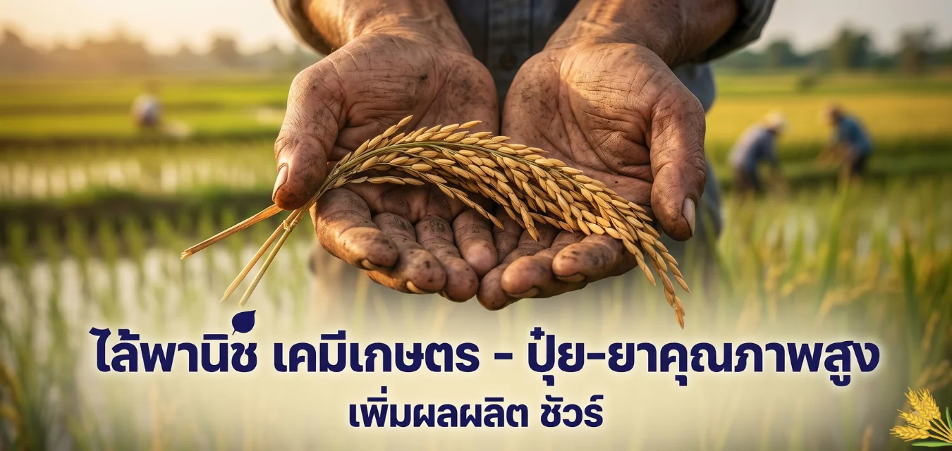 ไล้พานิช เคมีเกษตร ปุ๋ยยาคุณภาพสูง เพิ่มผลผลิตข้าว สารเคมีเกษตรครบวงจร พิษณุโลก