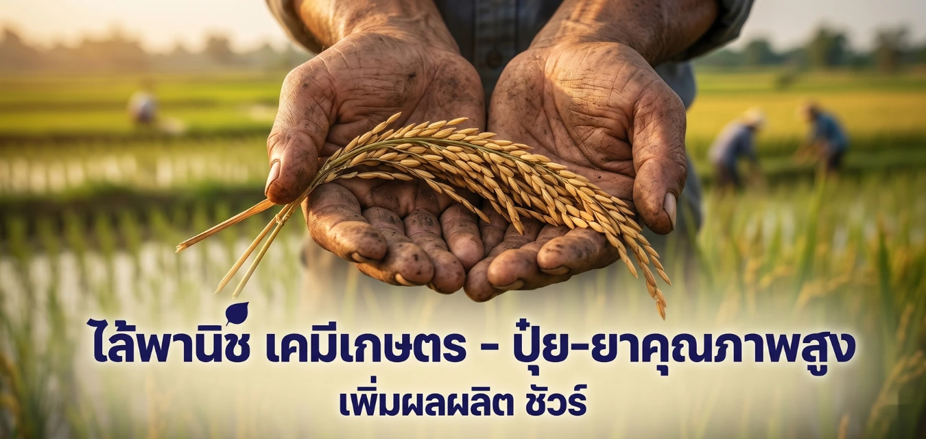 ไล้พานิช เคมีเกษตร ปุ๋ยยาคุณภาพสูง เพิ่มผลผลิตข้าว สารเคมีเกษตรครบวงจร พิษณุโลก
