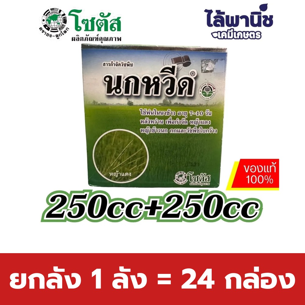ยกลัง 1 ลัง = 24 กล่อง