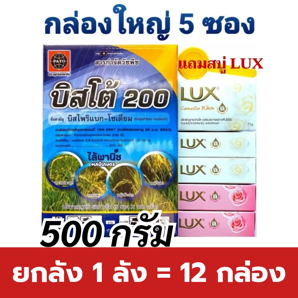 ยกลัง 1 ลัง = 12 กล่อง