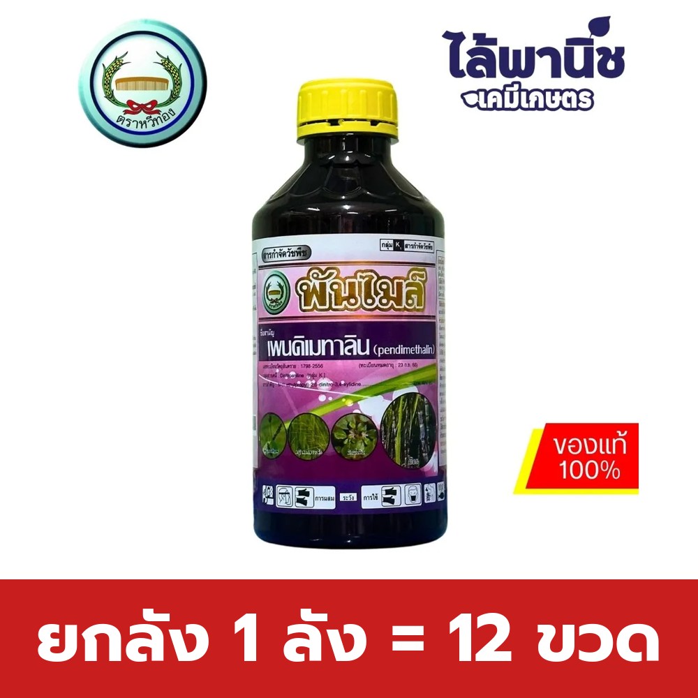 ยกลัง 1 ลัง = 12 ขวด
