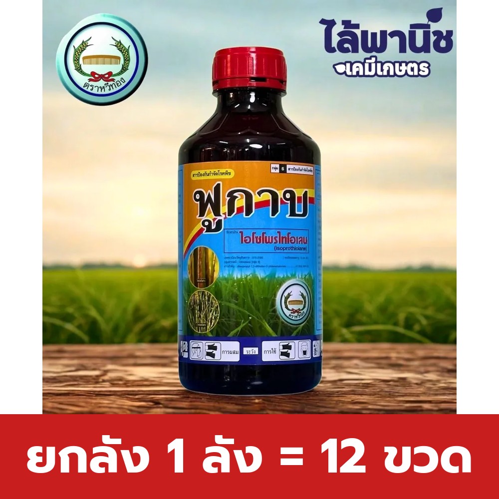 ยกลัง 1 ลัง = 12 ขวด