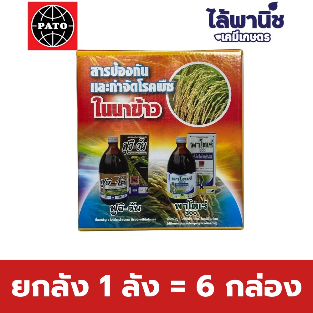 ยกลัง 1 ลัง = 6 กล่อง