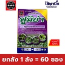 ยกลัง 1 ลัง = 60 ซอง