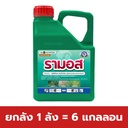 ยกลัง 1 ลัง = 6 แกลลอน