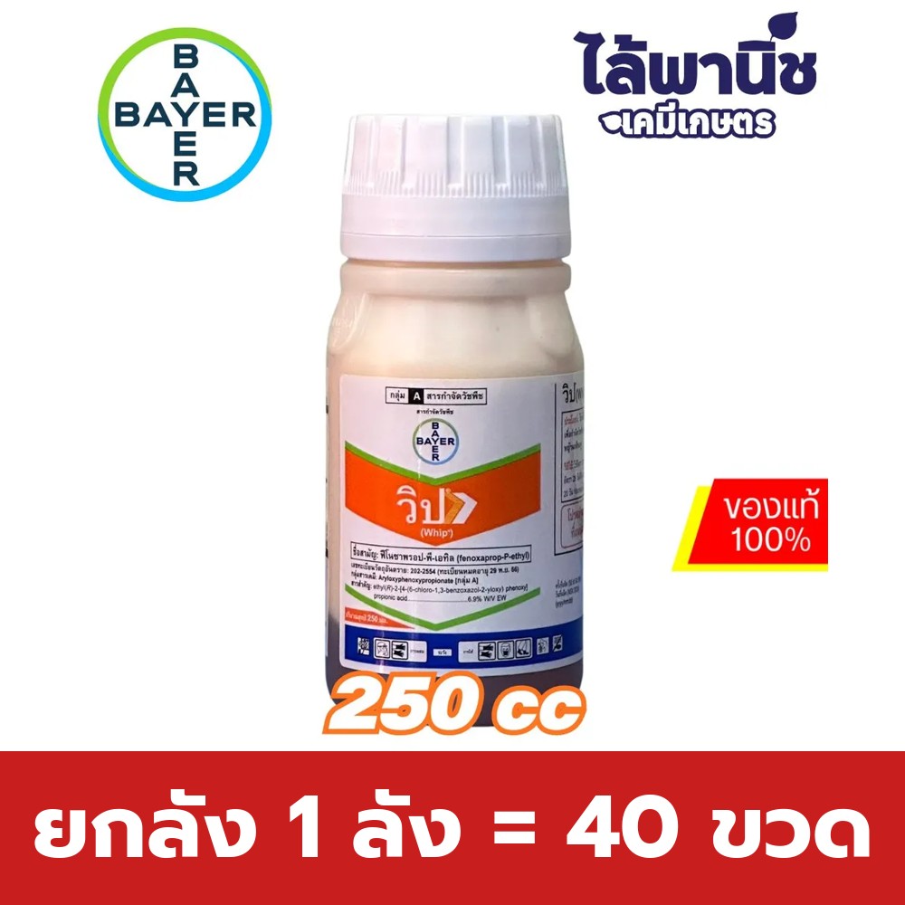 ยกลัง 1 ลัง = 40 ขวด