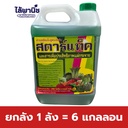 ยกลัง 1 ลัง = 6 แกลลอน