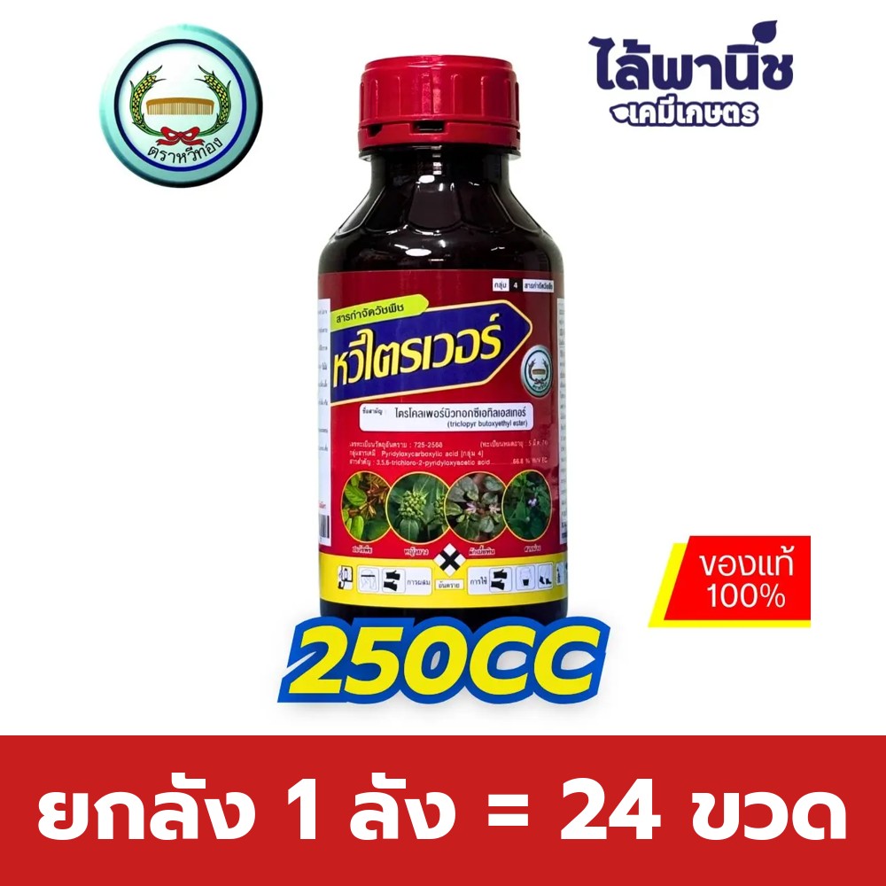 ยกลัง 1 ลัง = 24 ขวด