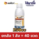 ยกลัง 1 ลัง = 40 ขวด