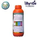 เนชั่น 1L