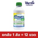 ยกลัง 1 ลัง = 12 ขวด