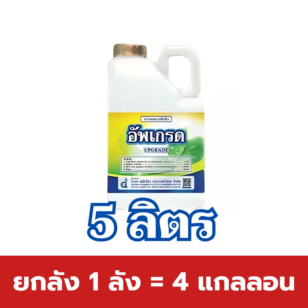 ยกลัง 1 ลัง = 4 แกลลอน