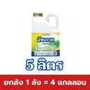 ยกลัง 1 ลัง = 4 แกลลอน