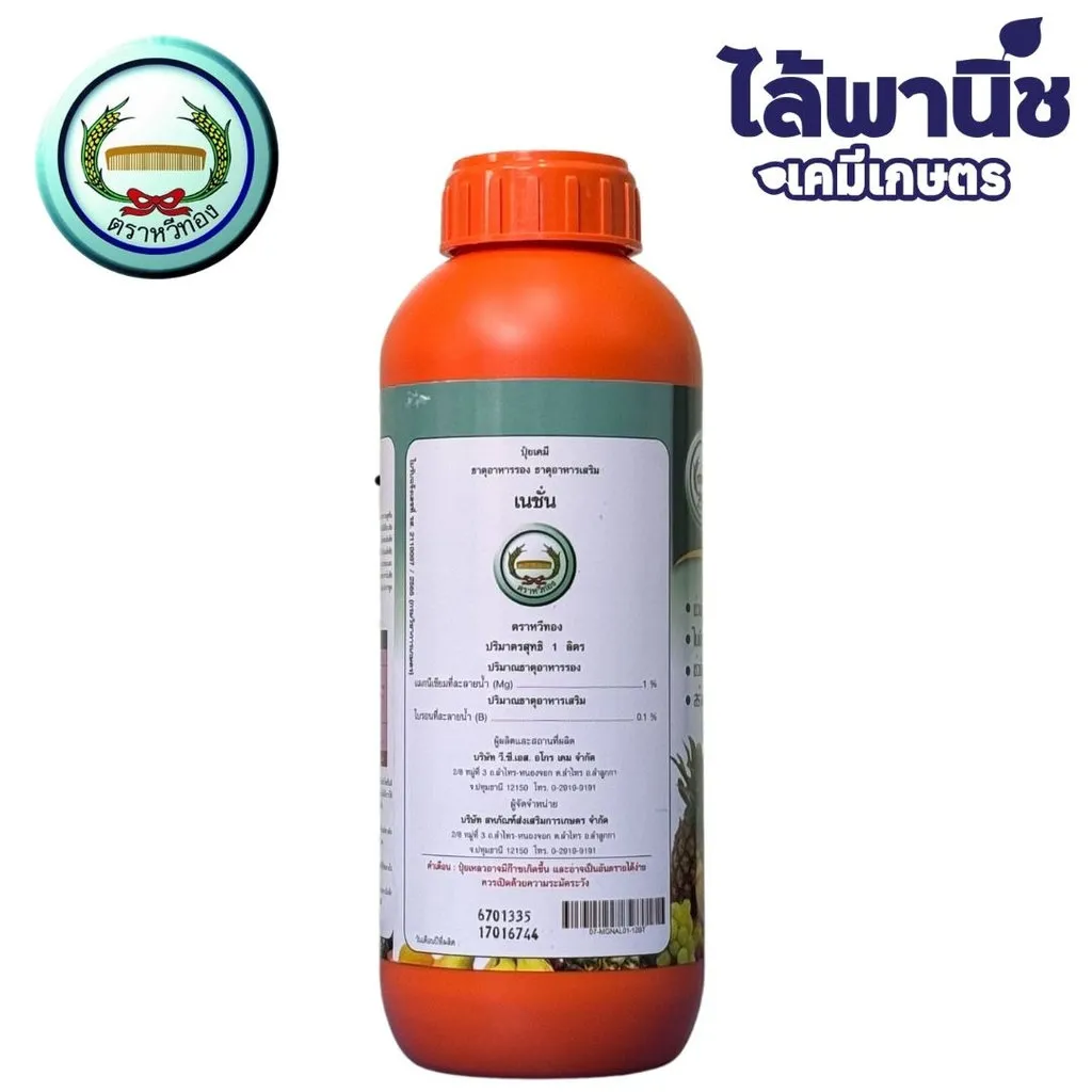 เนชั่น 1L