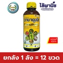 ยกลัง 1 ลัง = 12 ขวด