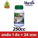 ยกลัง 1 ลัง = 24 ขวด