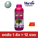 ยกลัง 1 ลัง = 12 ขวด