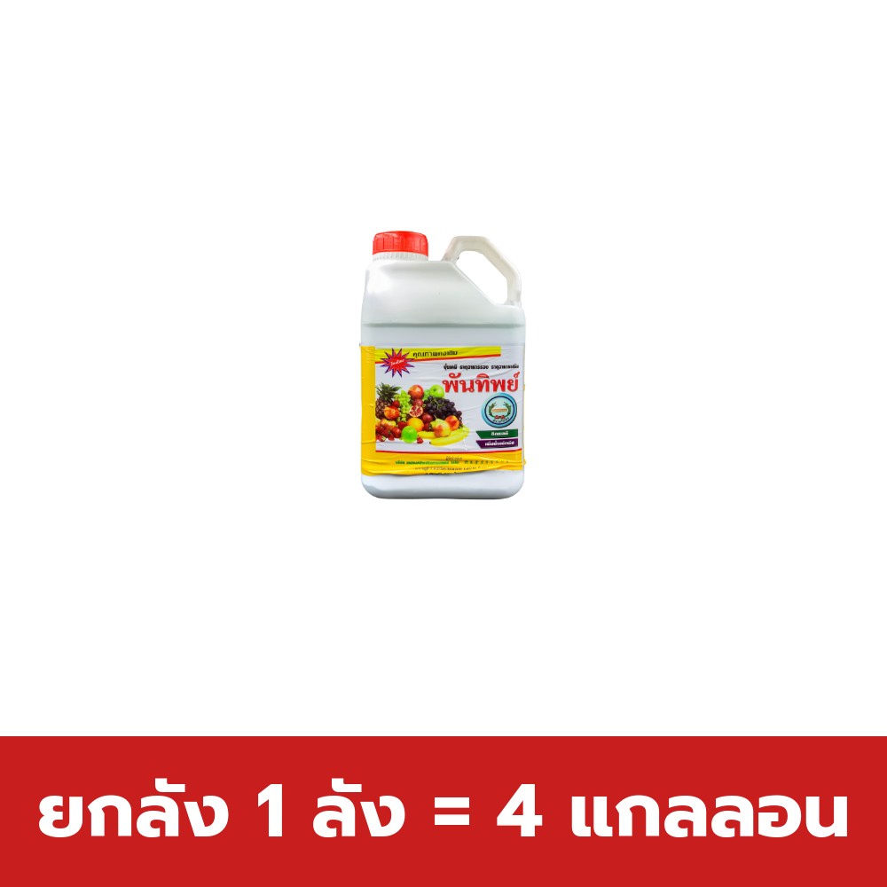 ยกลัง 1 ลัง = 4 แกลลอน
