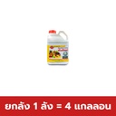 ยกลัง 1 ลัง = 4 แกลลอน