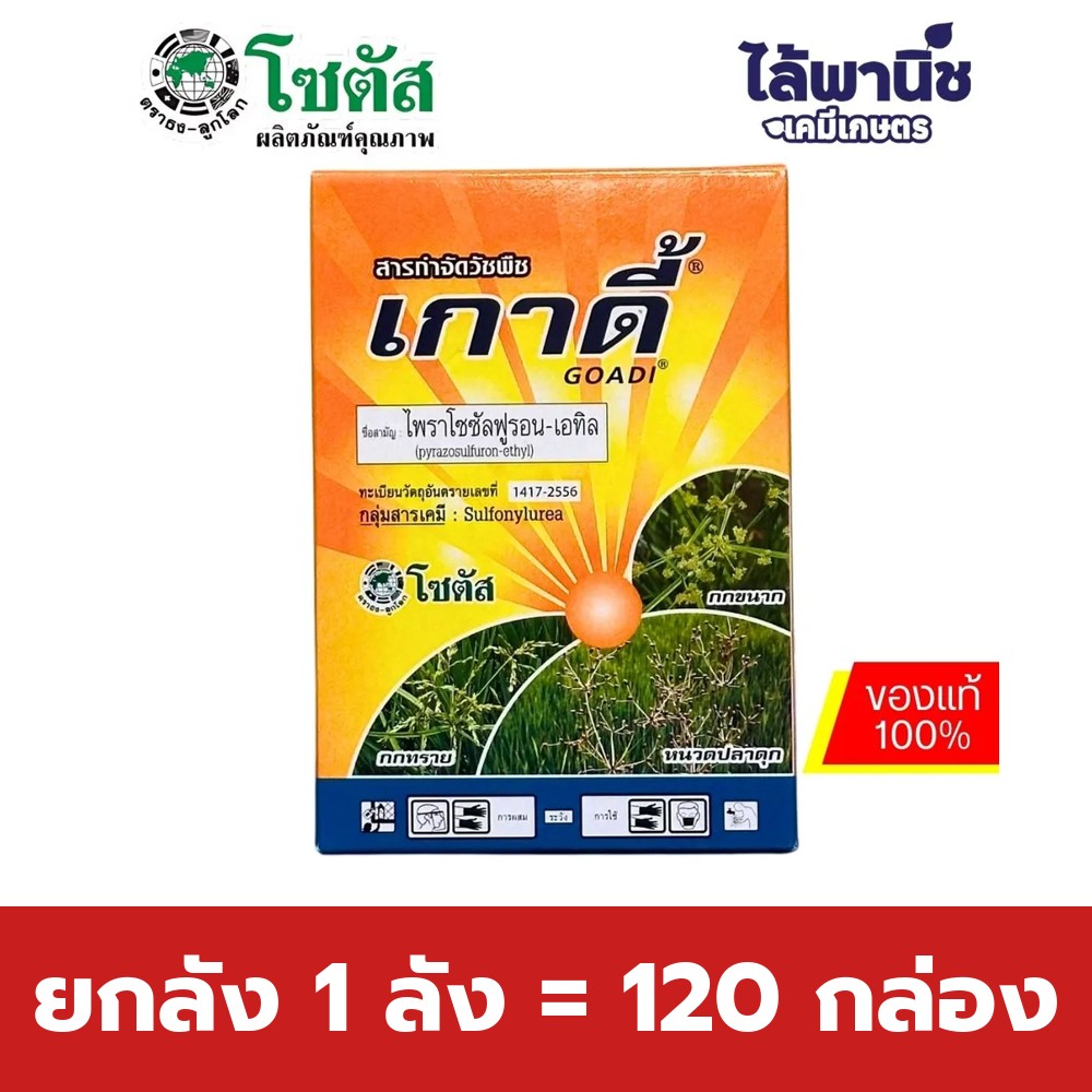 ยกลัง 1 ลัง = 120 กล่อง