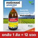 ยกลัง 1 ลัง = 12 ขวด