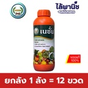 ยกลัง 1 ลัง = 12 ขวด