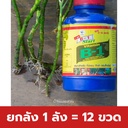 ยกลัง 1 ลัง = 12 ขวด
