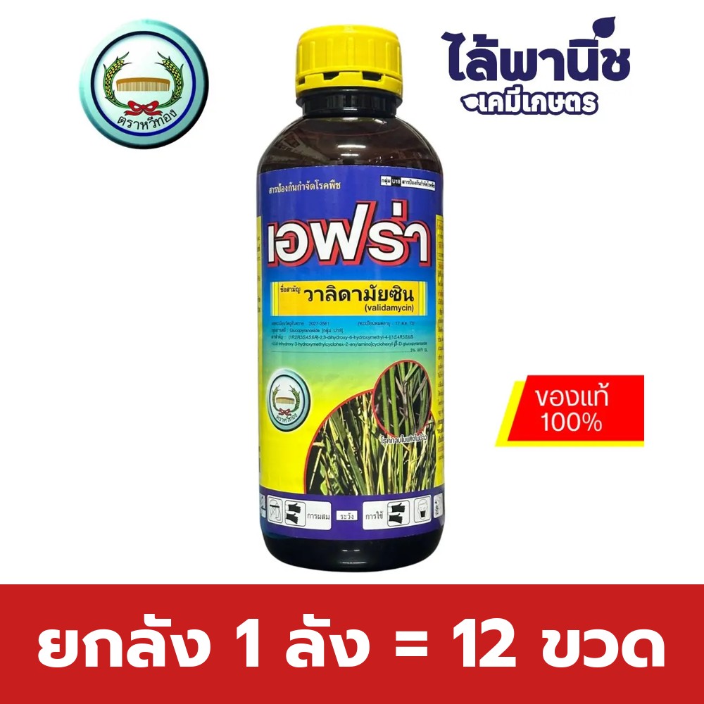 ยกลัง 1 ลัง = 12 ขวด
