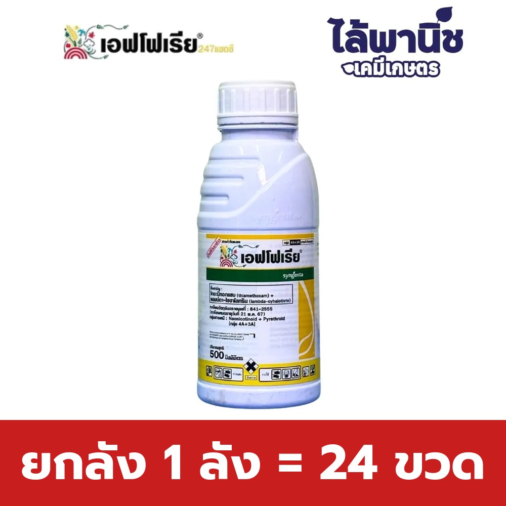 ยกลัง 1 ลัง = 24 ขวด