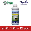 ยกลัง 1 ลัง = 12 ขวด