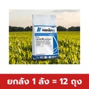 ยกลัง 1 ลัง = 12 ถุง
