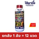 ยกลัง 1 ลัง = 12 ขวด