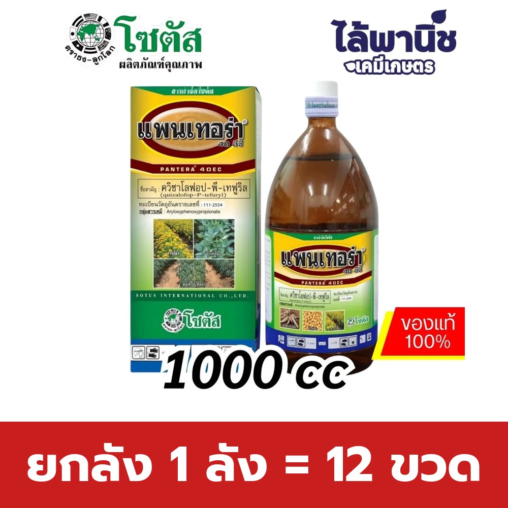 ยกลัง 1 ลัง = 12 ขวด
