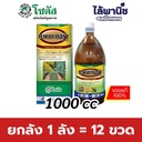 ยกลัง 1 ลัง = 12 ขวด