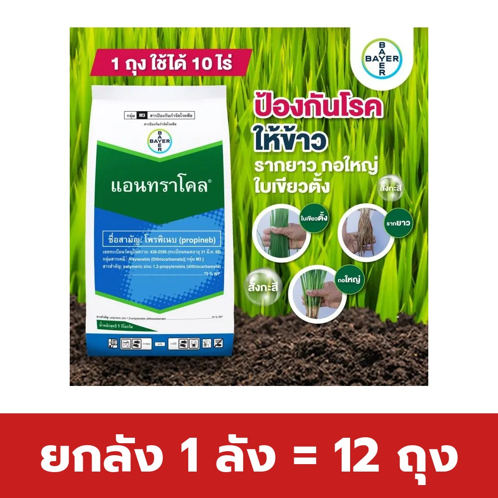 ยกลัง 1 ลัง = 12 ถุง