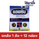 ยกลัง 1 ลัง = 12 กล่อง