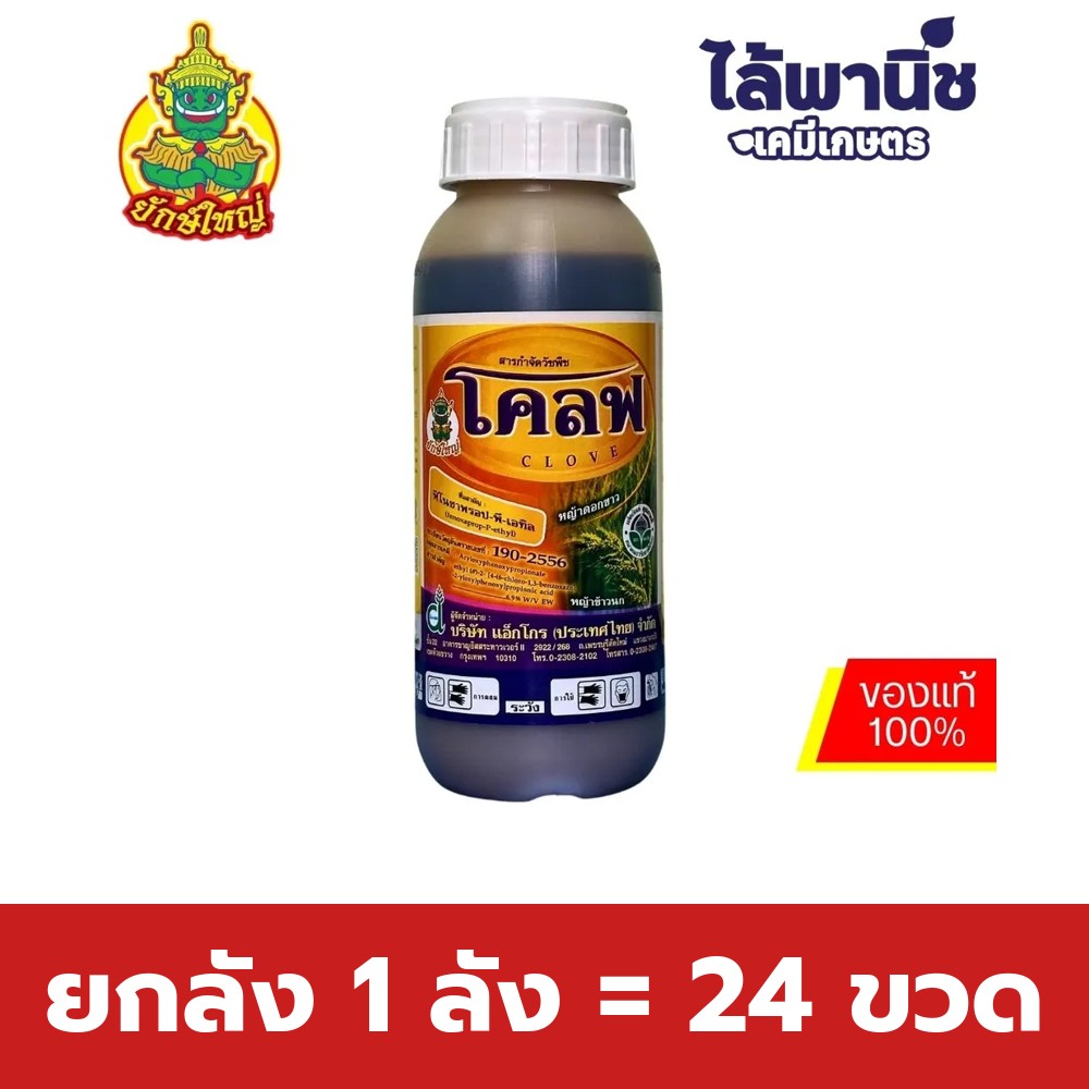 ยกลัง 1 ลัง = 24 ขวด