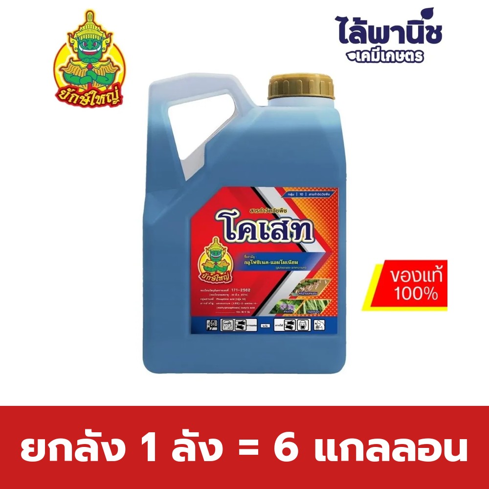 ยกลัง 1 ลัง = 6 แกลลอน