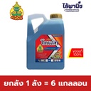 ยกลัง 1 ลัง = 6 แกลลอน