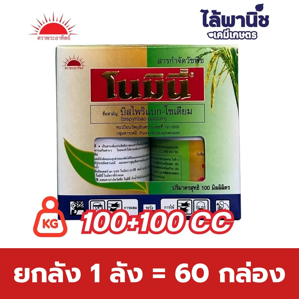 ยกลัง 1 ลัง = 60 กล่อง