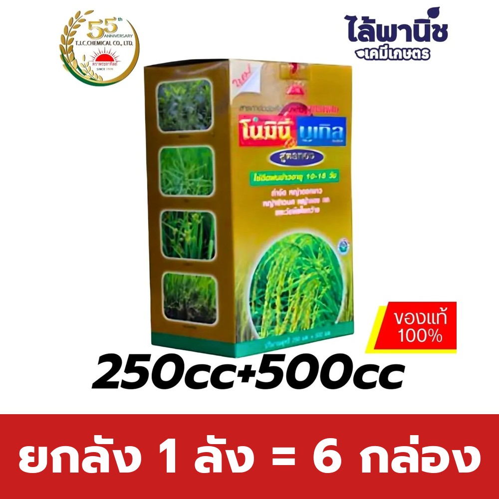 ยกลัง 1 ลัง = 6 กล่อง