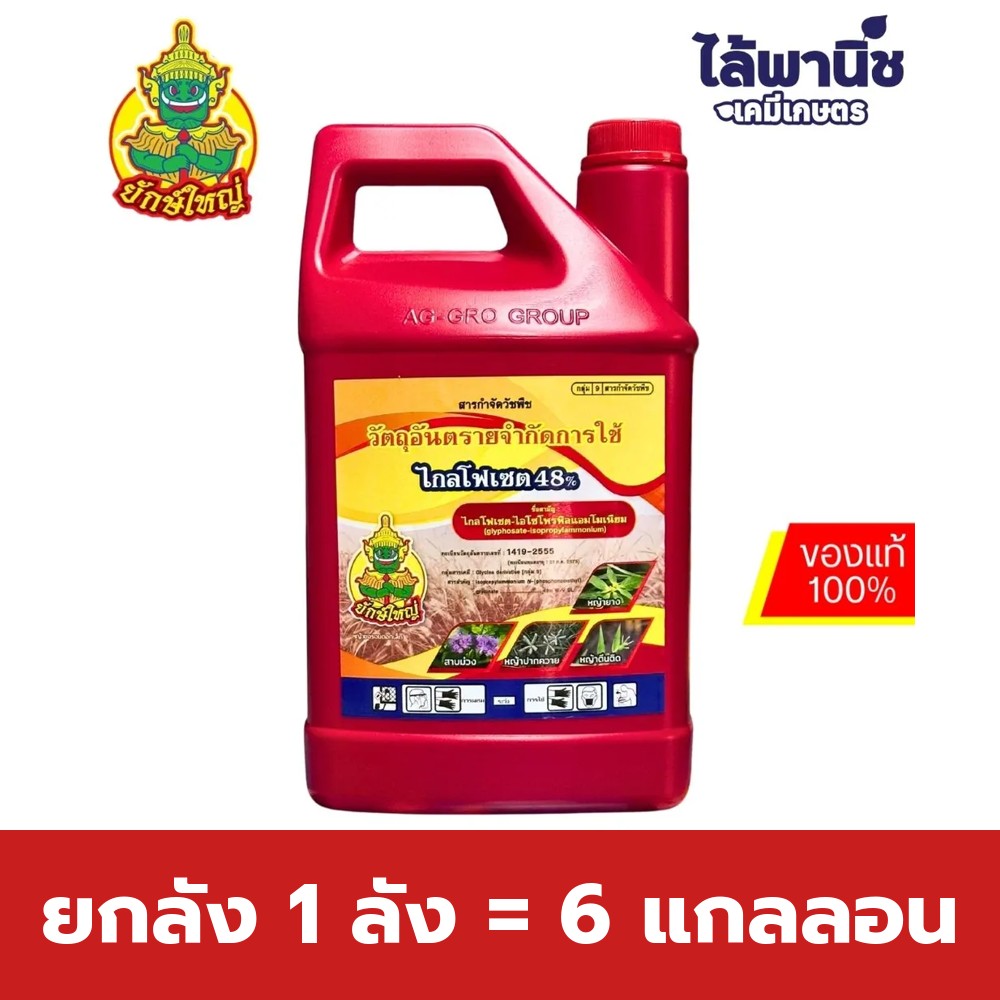 ยกลัง 1 ลัง = 6 แกลลอน