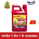 ยกลัง 1 ลัง = 6 แกลลอน