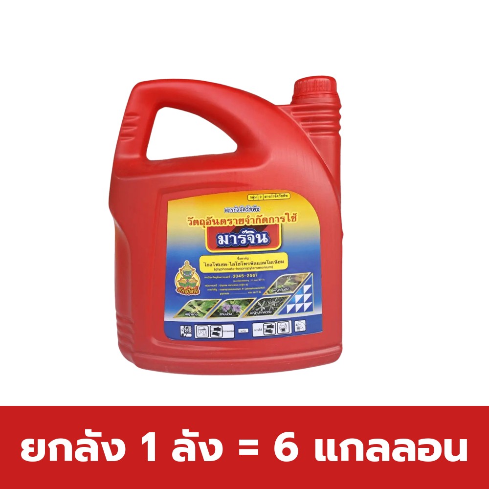 ยกลัง 1 ลัง = 6 แกลลอน