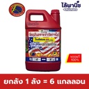 ยกลัง 1 ลัง = 6 แกลลอน