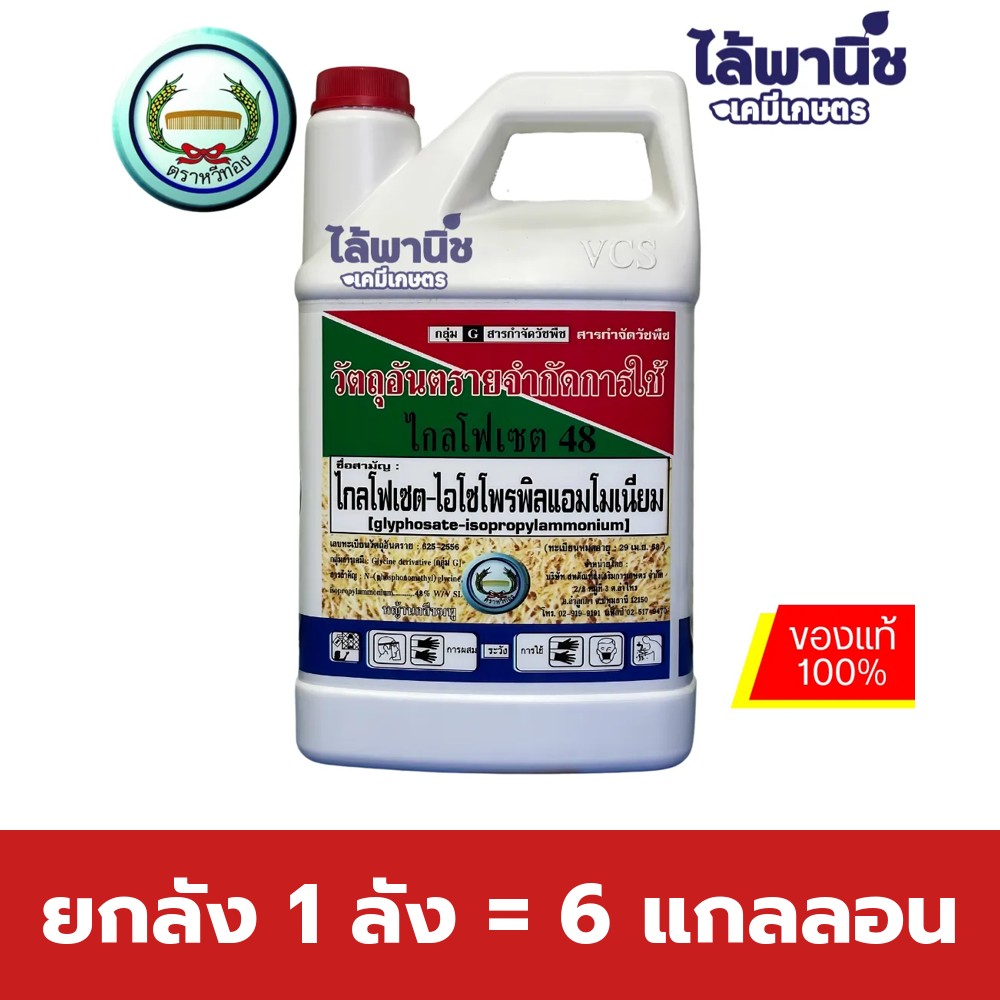 ยกลัง 1 ลัง = 6 แกลลอน