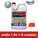 ยกลัง 1 ลัง = 6 แกลลอน
