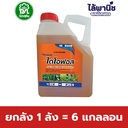 ยกลัง 1 ลัง = 6 แกลลอน